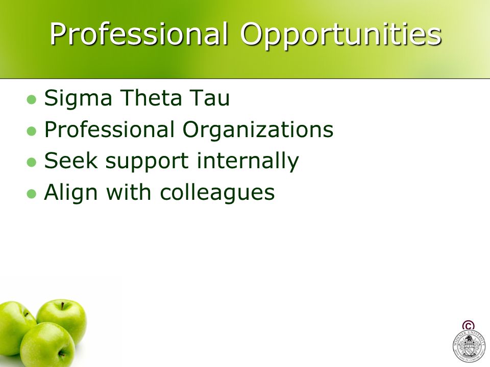 Professional Opportunities Sigma Theta Tau Professional Organizations Seek support internally Align with colleagues ©