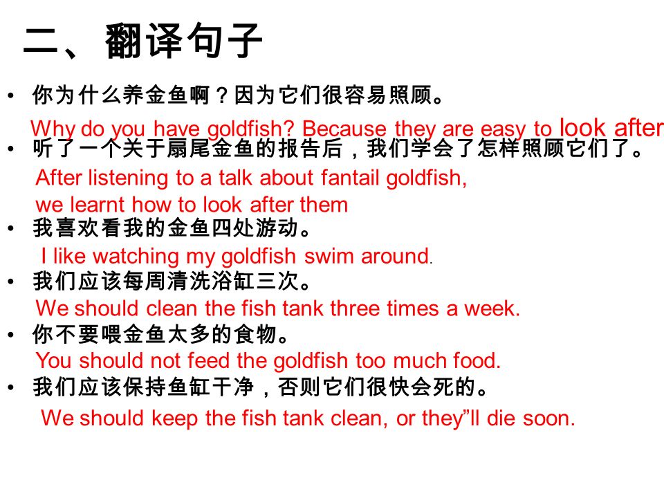 二、翻译句子 你为什么养金鱼啊？因为它们很容易照顾。 听了一个关于扇尾金鱼的报告后，我们学会了怎样照顾它们了。 我喜欢看我的金鱼四处游动。 我们应该每周清洗浴缸三次。 你不要喂金鱼太多的食物。 我们应该保持鱼缸干净，否则它们很快会死的。 Why do you have goldfish.