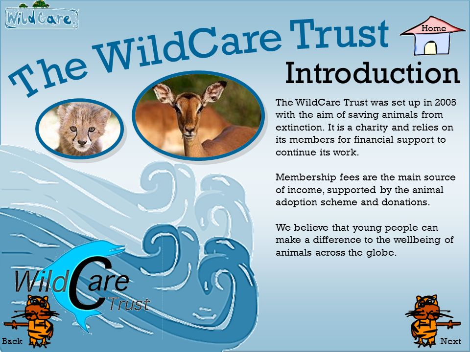 Introduction Membership Threats Endangered Species. - ppt download