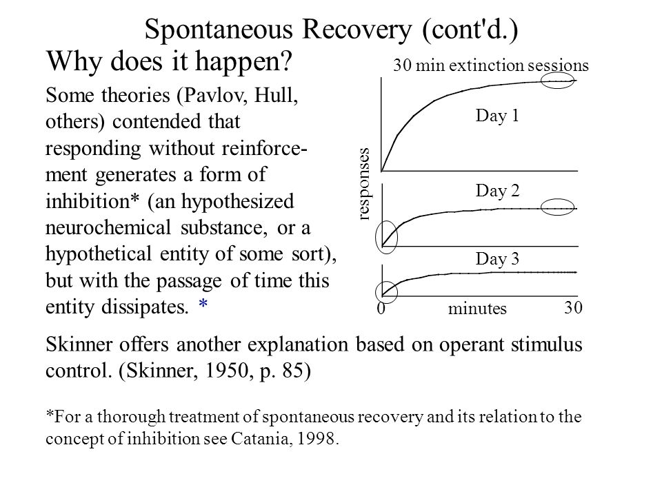 spontaneous recovery a skinnerian interpretation by jack michael