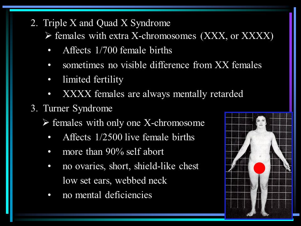 Xxxx chromosome