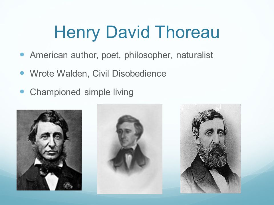 Literature Reform, Transcendentalist Thinking and Reform in Literature ...