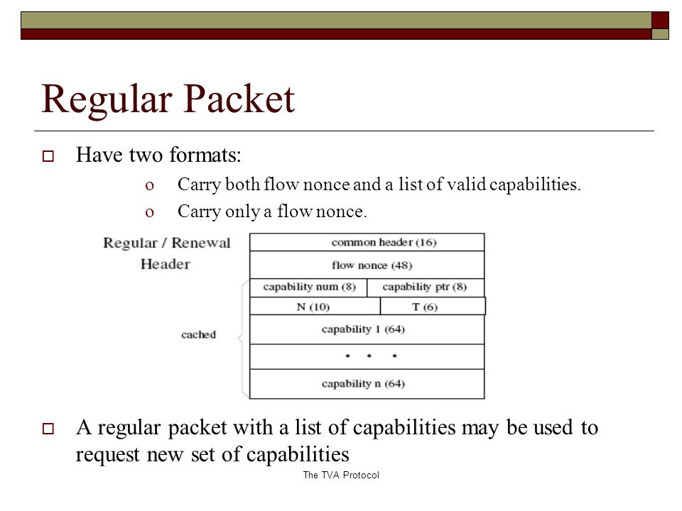 The TVA Protocol Regular Packet  Have two formats: oCarry both flow nonce and a list of valid capabilities.