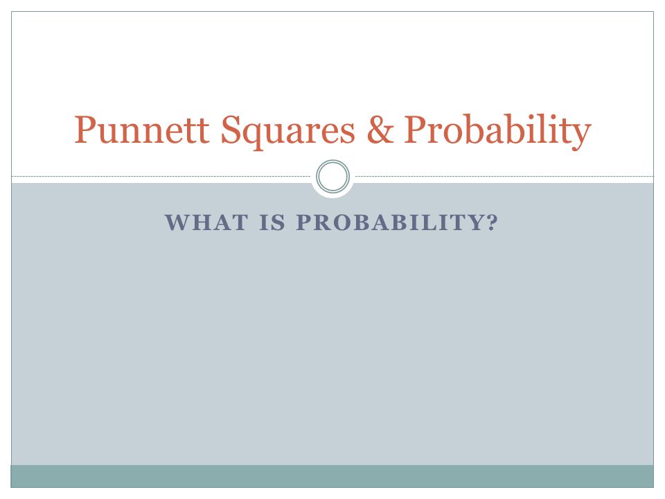 WHAT IS PROBABILITY Punnett Squares & Probability