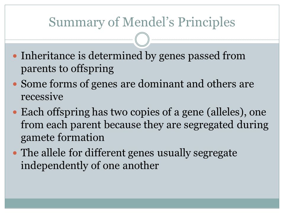 Summary of Mendel’s Principles Inheritance is determined by genes passed from parents to offspring Some forms of genes are dominant and others are recessive Each offspring has two copies of a gene (alleles), one from each parent because they are segregated during gamete formation The allele for different genes usually segregate independently of one another