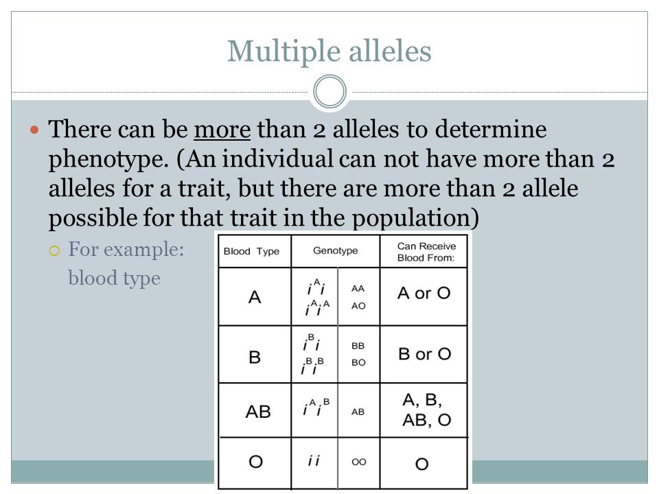 Multiple alleles There can be more than 2 alleles to determine phenotype.