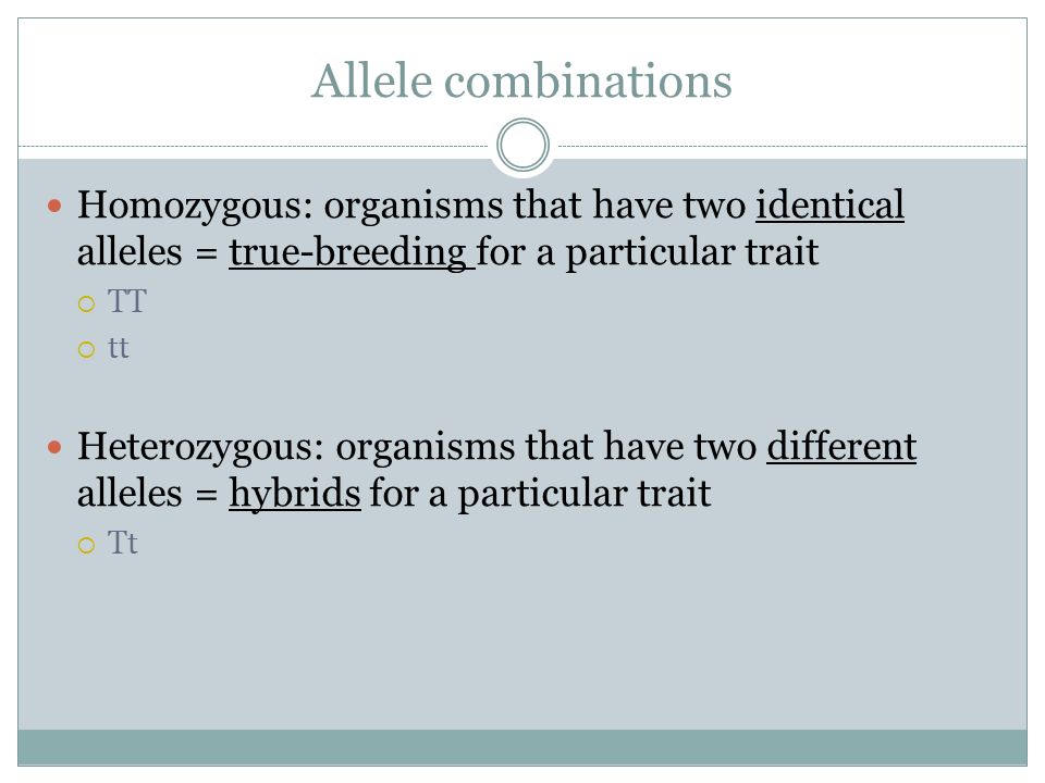 Allele combinations Homozygous: organisms that have two identical alleles = true-breeding for a particular trait  TT  tt Heterozygous: organisms that have two different alleles = hybrids for a particular trait  Tt