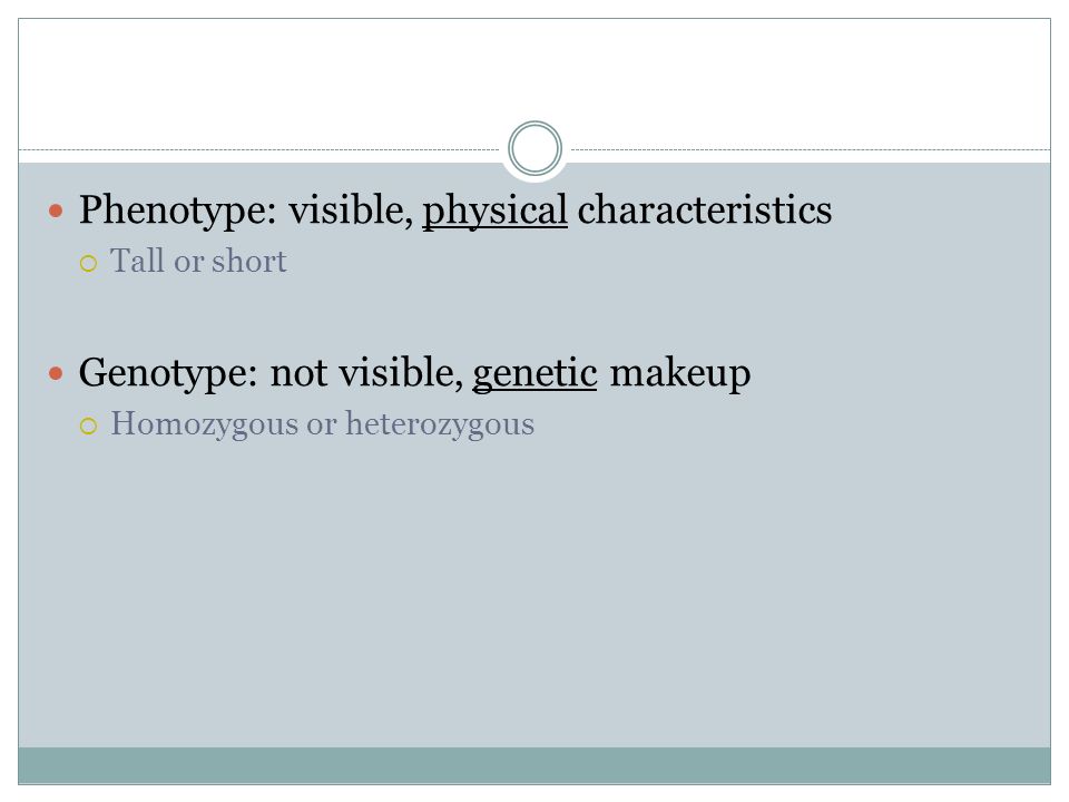 Phenotype: visible, physical characteristics  Tall or short Genotype: not visible, genetic makeup  Homozygous or heterozygous