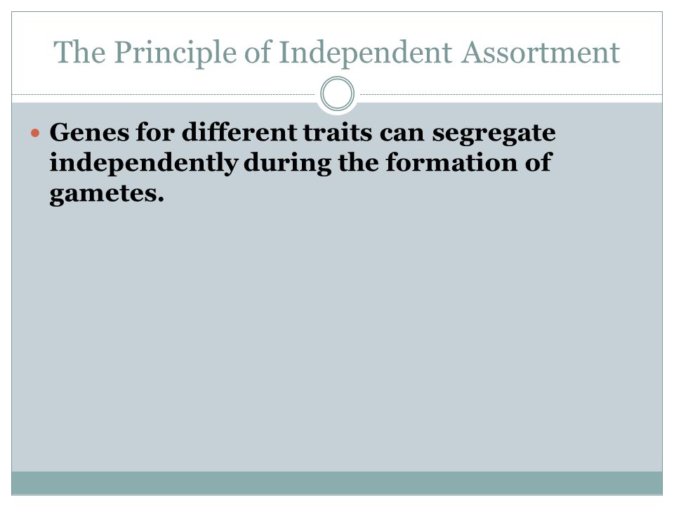 The Principle of Independent Assortment Genes for different traits can segregate independently during the formation of gametes.