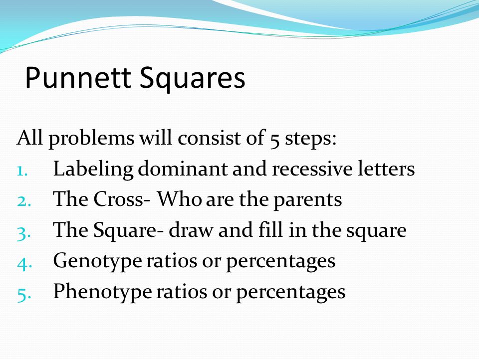 Punnett SquareLettering Dominant Genes Always get capital letters.