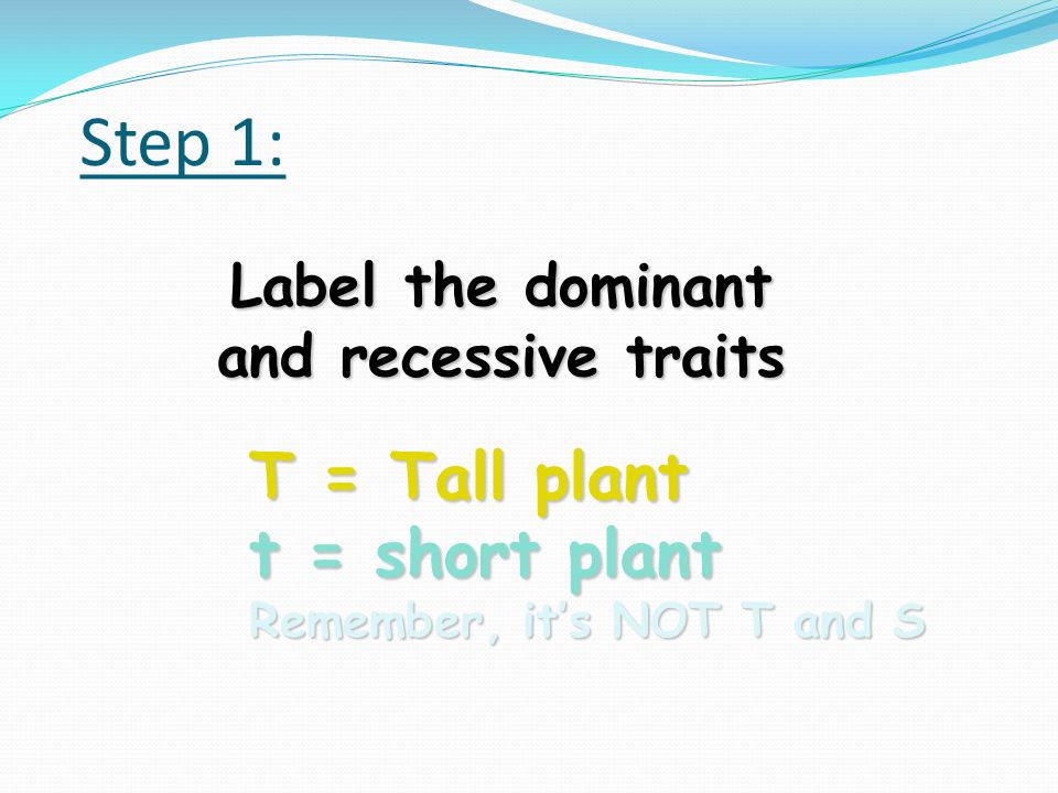Now try one on your own Tall plants are dominant over short plants in a tomato plant.
