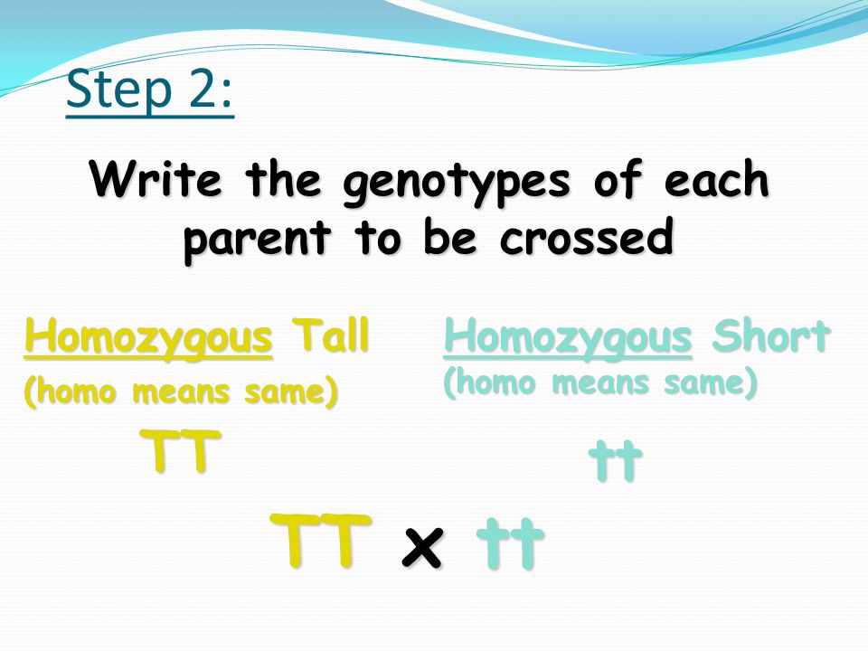 Step 1: Label the dominant and recessive traits T = Tall plant t = short plant Remember, it’s NOT T and S