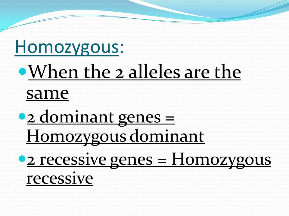 Genotype: The gene combination of an organism It consists of 2 alleles For example: Pure dominant, 2 dominant genes Pure recessive, 2 recessive genes Hybrid, 1 dominant and 1 recessive gene