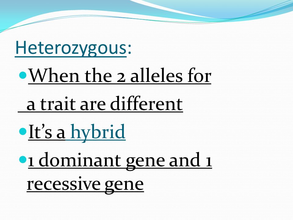 Homozygous: When the 2 alleles are the same 2 dominant genes = Homozygous dominant 2 recessive genes = Homozygous recessive