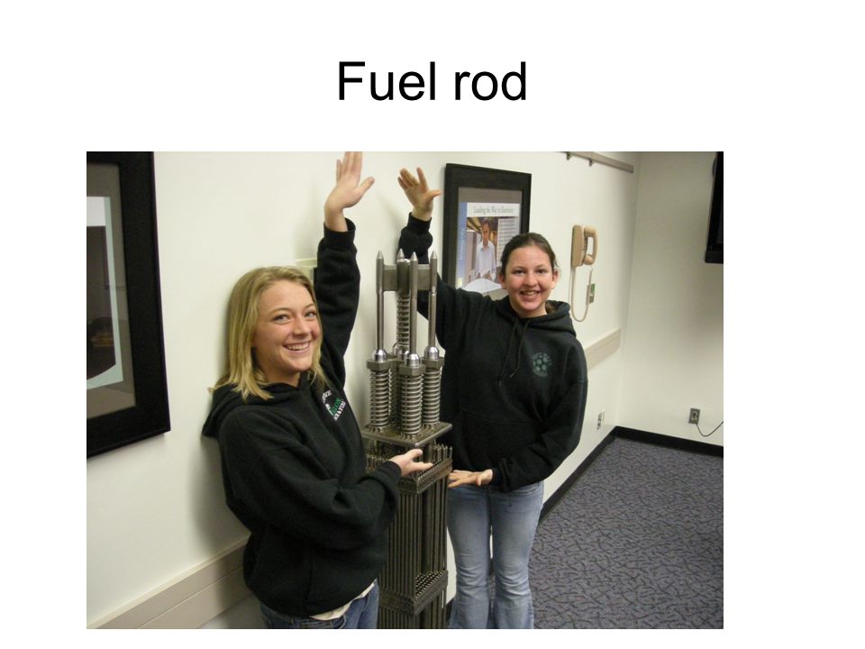 Fuel rod