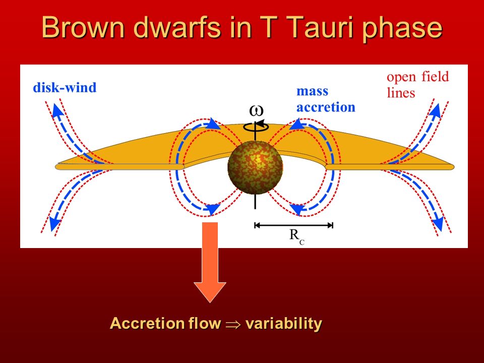 Brown dwarfs in T Tauri phase Accretion flow  variability