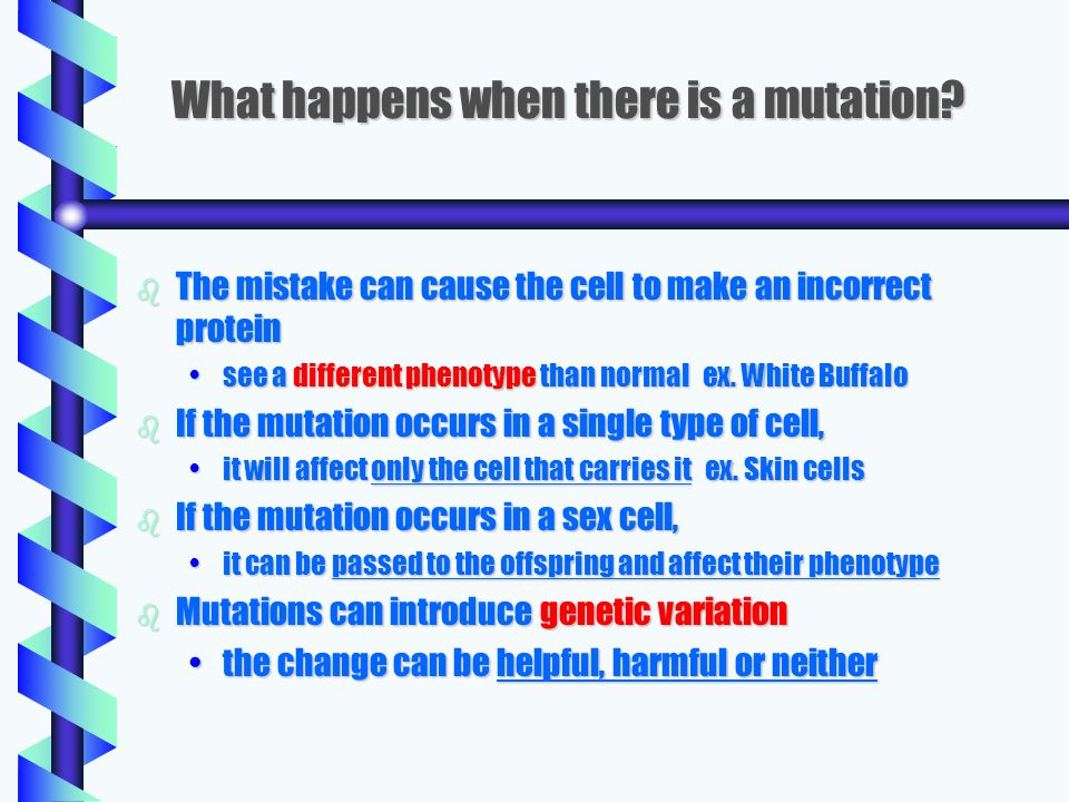pic Dna And Mutations Webquest what happens if a mutation occurs in an