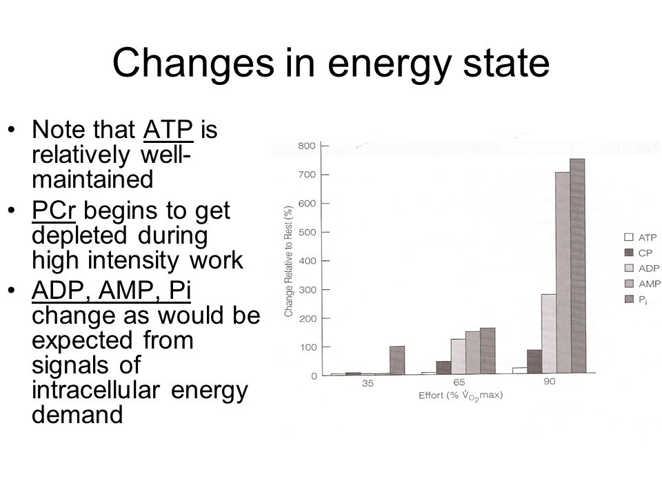 Changes in energy state Note that ATP is relatively well- maintained PCr begins to get depleted during high intensity work ADP, AMP, Pi change as would be expected from signals of intracellular energy demand