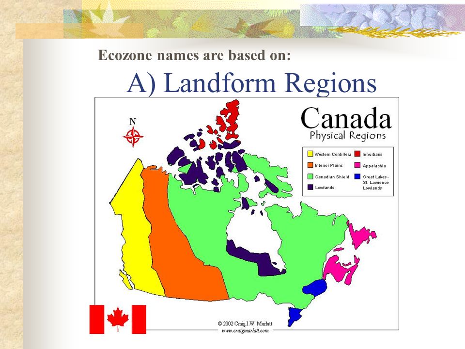 Canada S Ecozones Grade 9 Academic Geography Class Notes Ppt