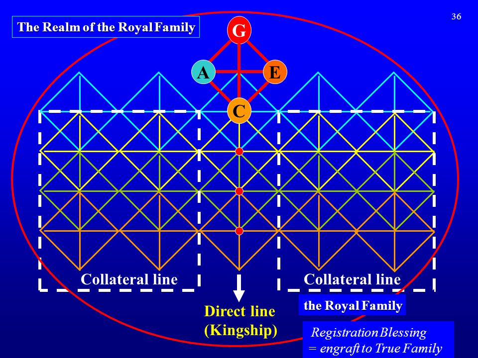 36 Direct line (Kingship) Collateral line A G E C The Realm of the Royal Family Registration Blessing = engraft to True Family the Royal Family