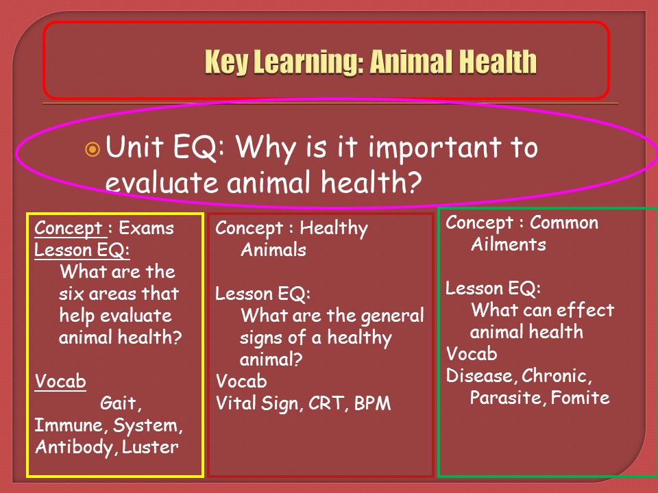 ANSC.  Define basic animal health terminology  Begin to Outline basic  procedures for receiving and evaluating ill animals. - ppt download
