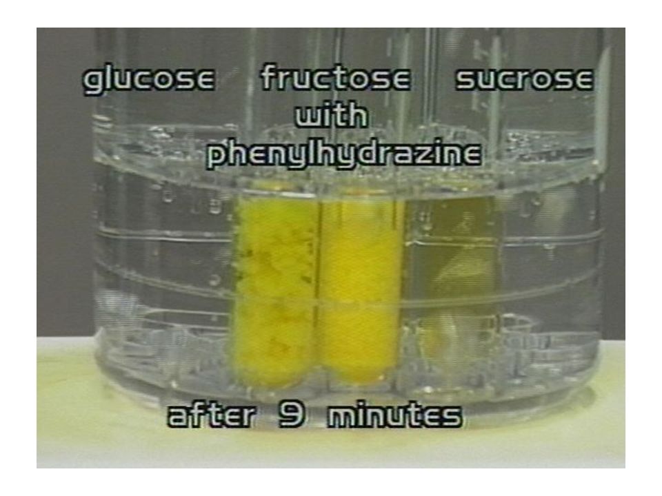 download of - Professor Chemistry Medicinal ppt download Chemistry - of ppt Medicinal Professor