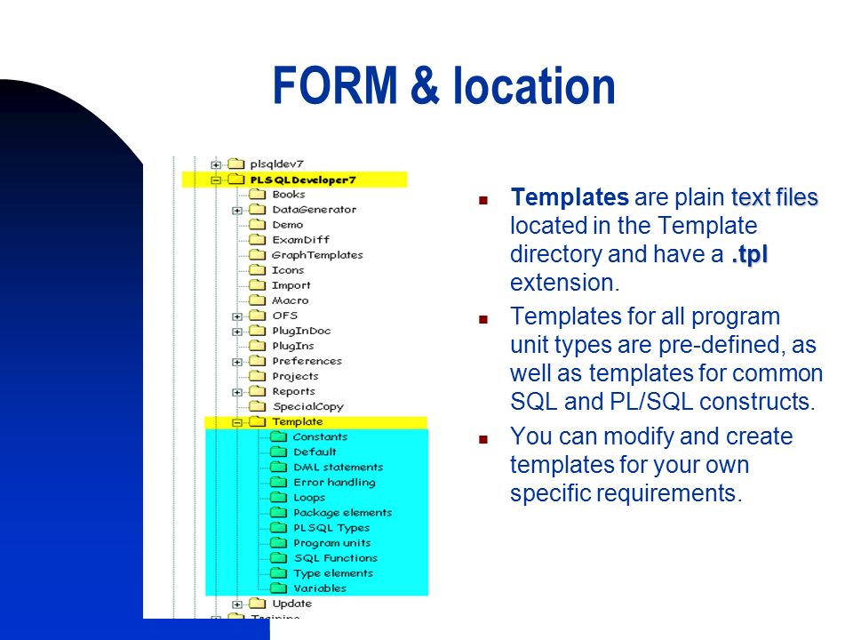 1 pl sql dev templates 2 template definition whenever you create a p l templates