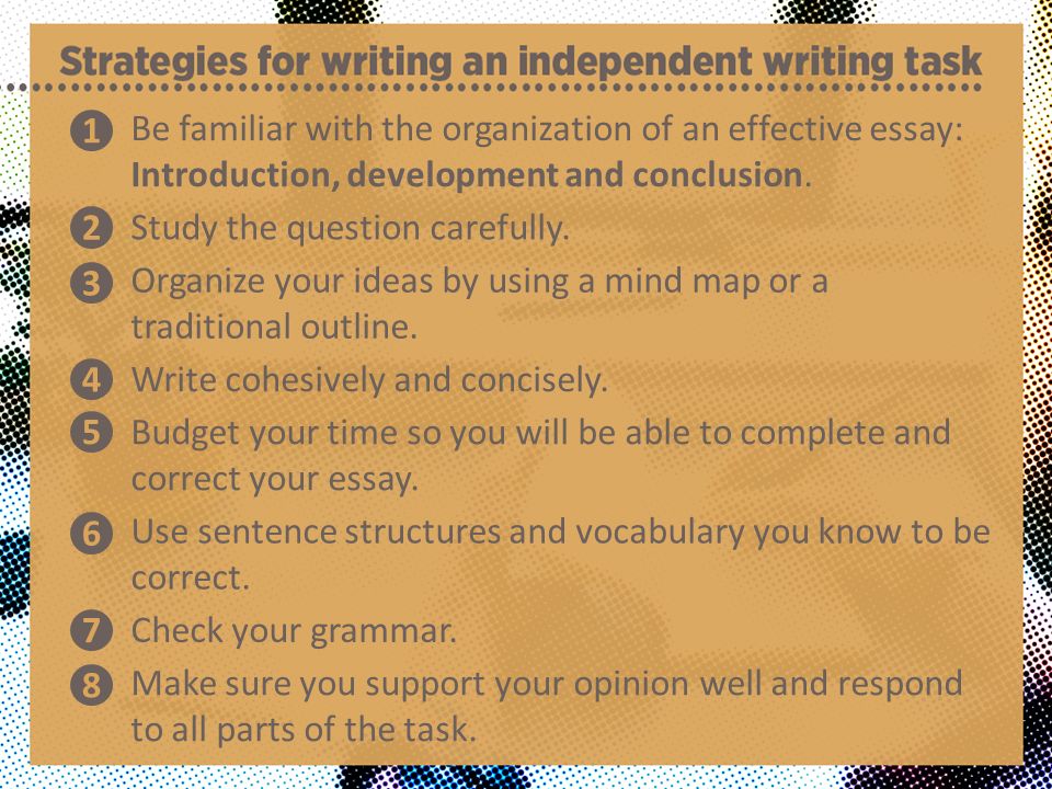 Be familiar with the organization of an effective essay: Introduction, development and conclusion.