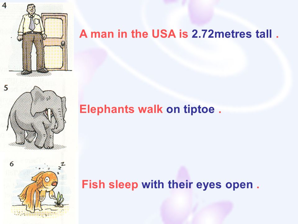 A man in the USA is 2.72metres tall. Elephants walk on tiptoe. Fish sleep with their eyes open.