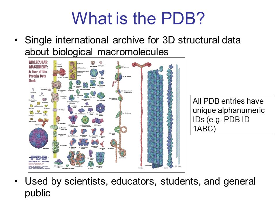 Protein Data Bank: An Introduction Learning to Use the RCSB PDB Portal. -  ppt download