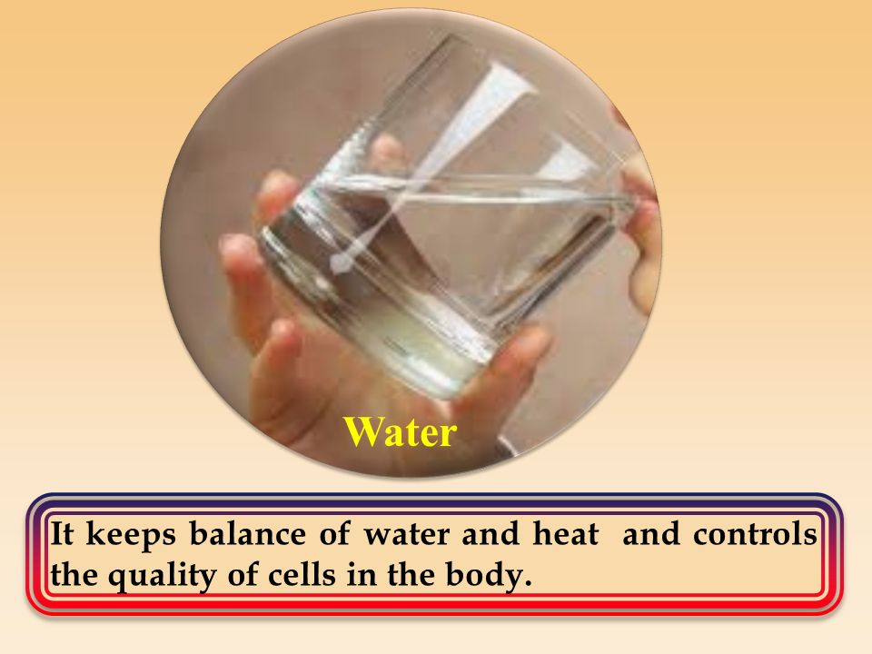 It keeps balance of water and heat and controls the quality of cells in the body. Water