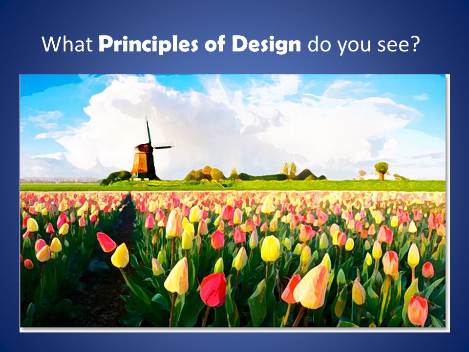 What Principles of Design do you see