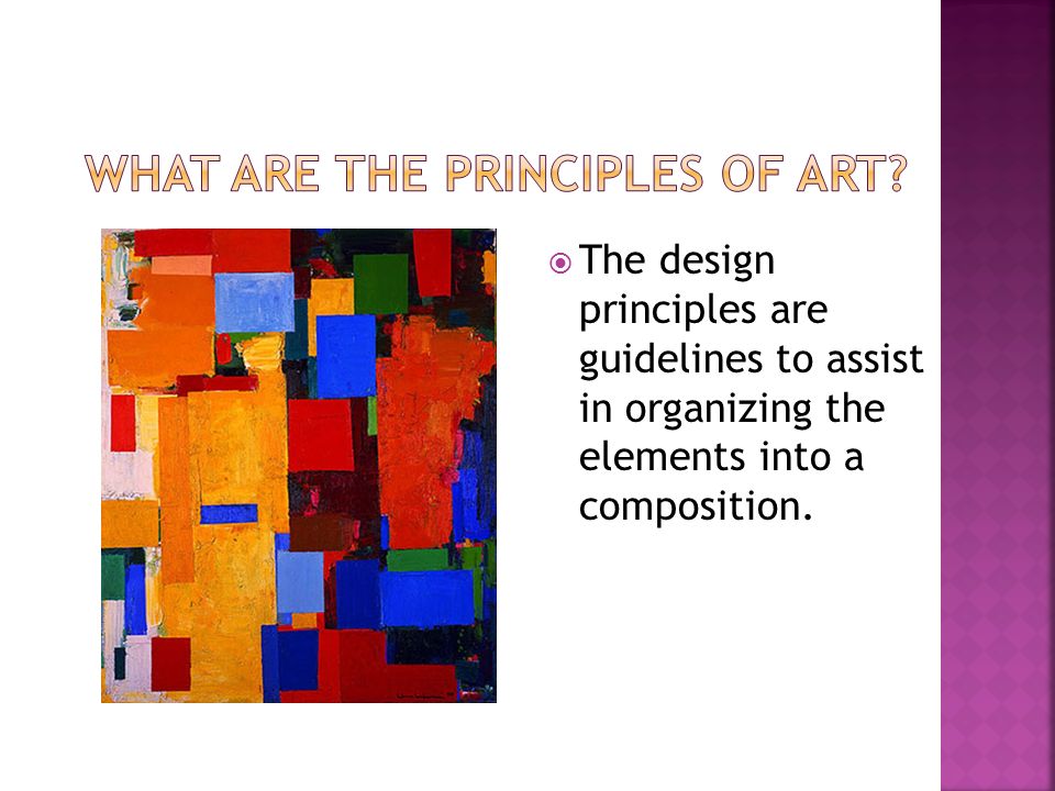  The design principles are guidelines to assist in organizing the elements into a composition.