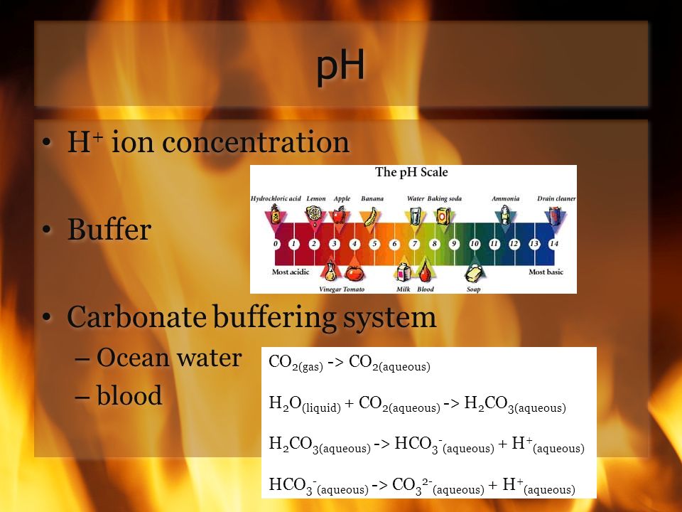 pH H + ion concentration Buffer Carbonate buffering system – Ocean water – blood H + ion concentration Buffer Carbonate buffering system – Ocean water – blood CO 2(gas) -> CO 2(aqueous) H 2 O (liquid) + CO 2(aqueous) -> H 2 CO 3(aqueous) H 2 CO 3(aqueous) -> HCO 3 - (aqueous) + H + (aqueous) HCO 3 - (aqueous) -> CO 3 2- (aqueous) + H + (aqueous)