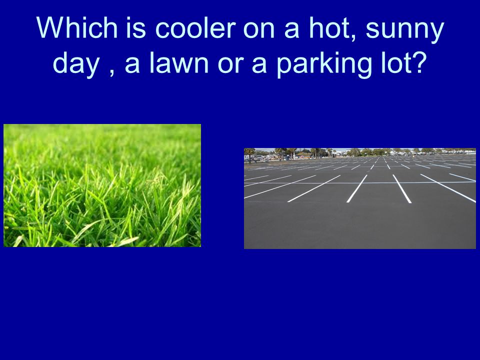 Which is cooler on a hot, sunny day, a lawn or a parking lot