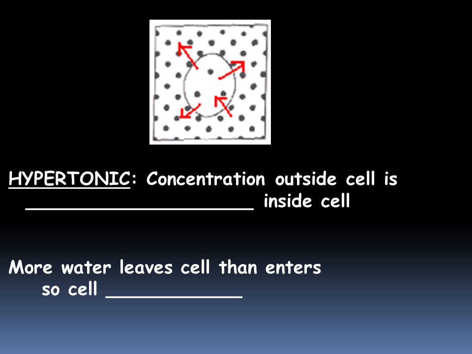 HYPERTONIC: Concentration outside cell is ____________________ inside cell More water leaves cell than enters so cell ____________