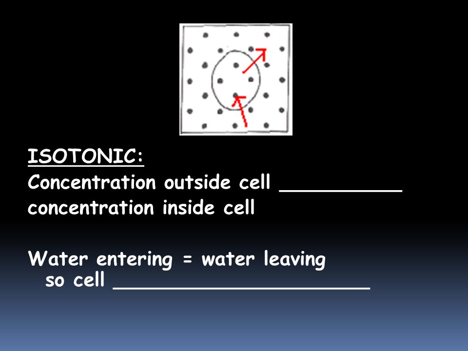 ISOTONIC: Concentration outside cell __________ concentration inside cell Water entering = water leaving so cell _____________________