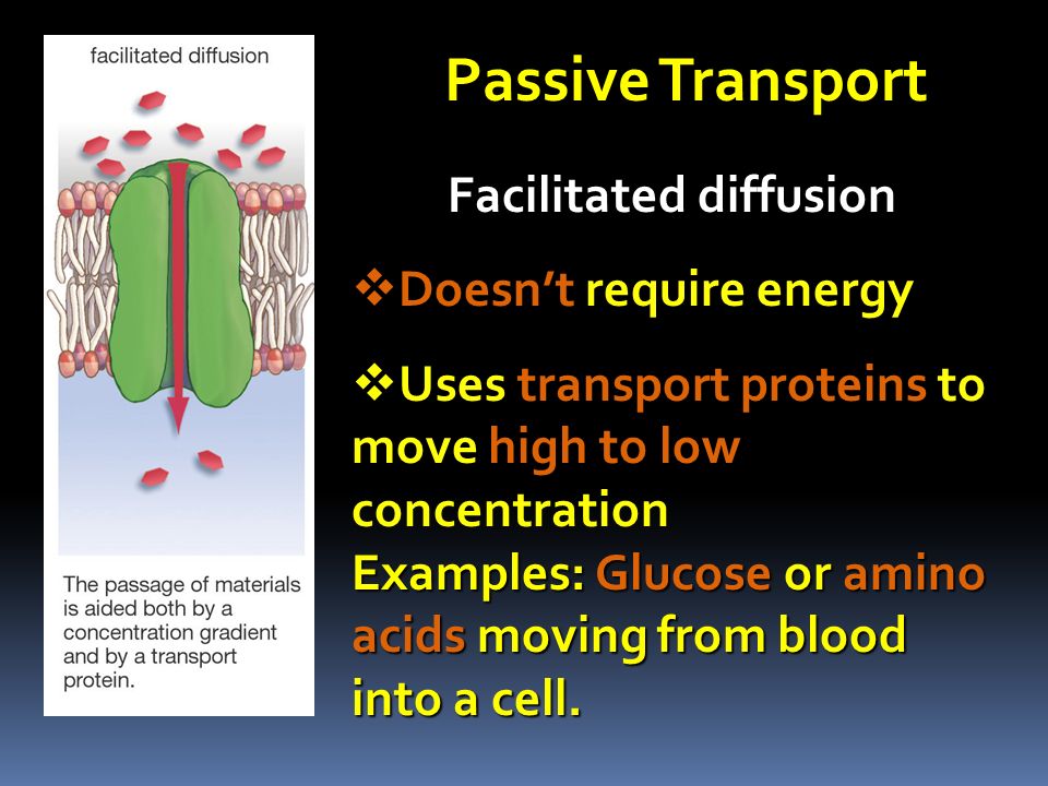Passive Transport Facilitated diffusion  Doesn’t require energy  Uses transport proteins to move high to low concentration Examples: Glucose or amino acids moving from blood into a cell.