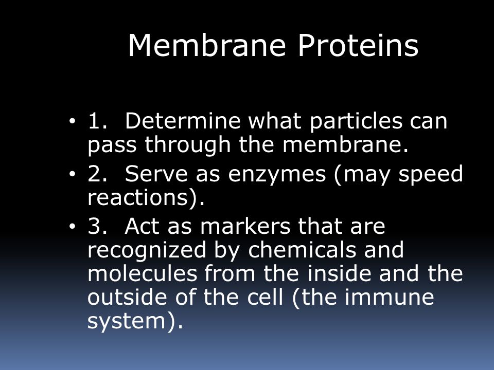 Membrane Proteins 1. Determine what particles can pass through the membrane.