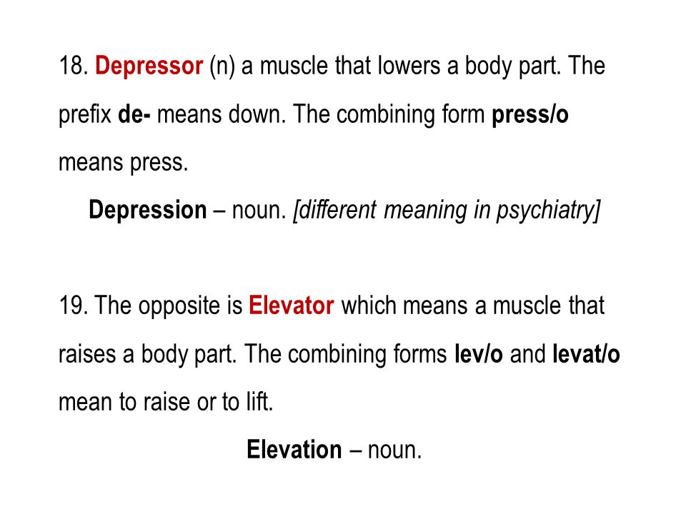 18. Depressor (n) a muscle that lowers a body part.