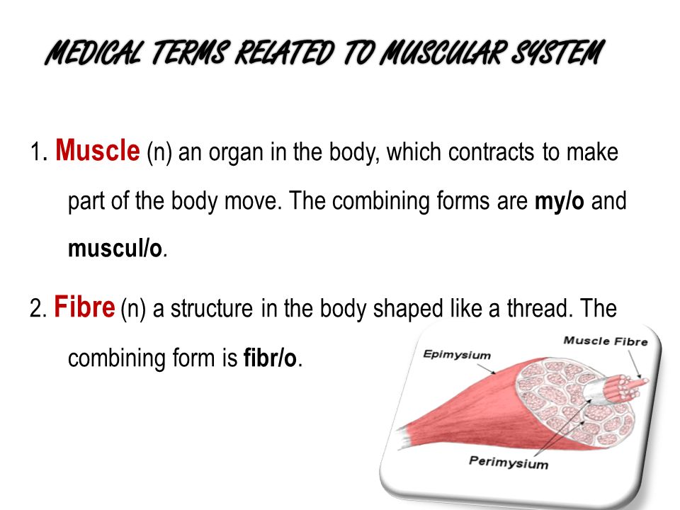 1. Muscle (n) an organ in the body, which contracts to make part of the body move.