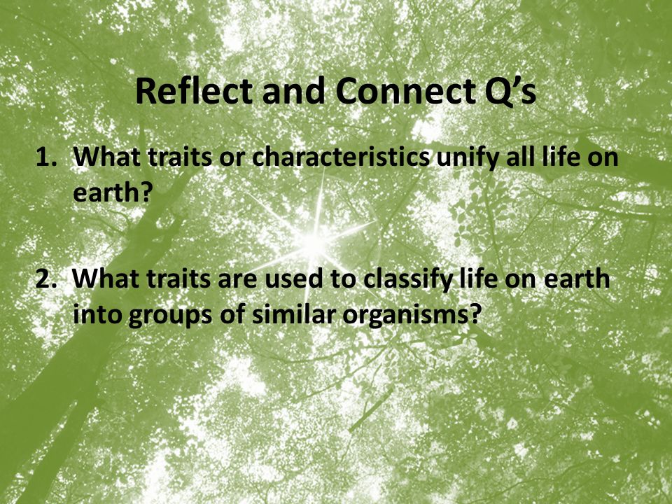 Reflect and Connect Q’s 1.What traits or characteristics unify all life on earth.