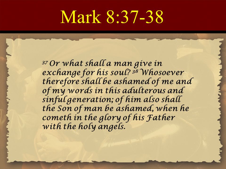 Tzav Biblestudyresourcecenter Com Tzav Leviticus 6 1 8 36 Haftarah Malachi 3 Gospel Mark 7 31 9 1 Tzav Command The 24 Nd Torah Portion Ppt Download Tzav Biblestudyresourcecenter Com Tzav Leviticus 6 1 8 36 Haftarah Malachi 3 Gospel Mark 7 31 9 1 Tzav Command The 24 Nd Torah Portion Ppt Download