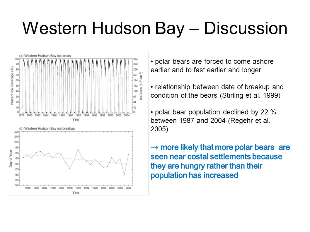 Western Hudson Bay – Discussion