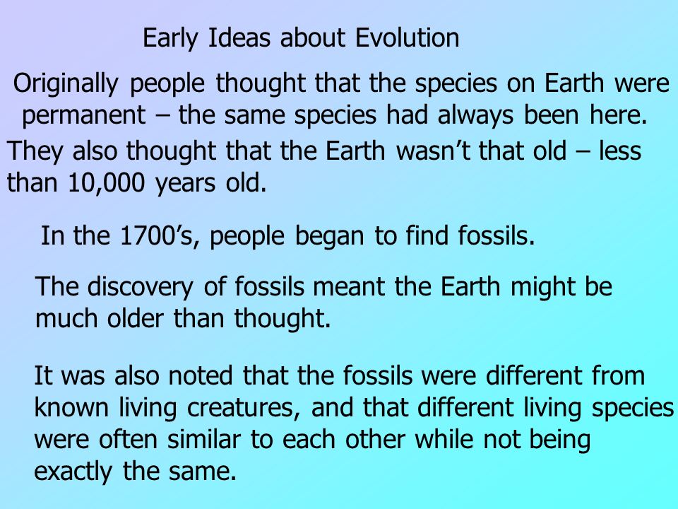 Evolution of Brains: