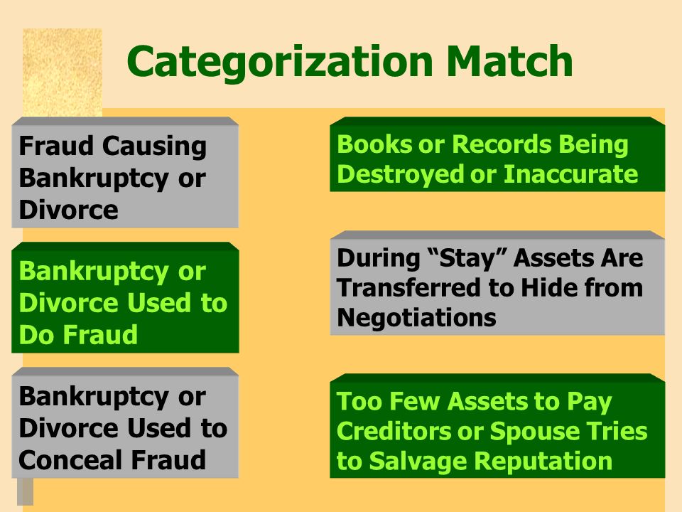 Categorization Match Fraud Causing Bankruptcy or Divorce Bankruptcy or Divorce Used to Do Fraud Bankruptcy or Divorce Used to Conceal Fraud Books or Records Being Destroyed or Inaccurate During Stay Assets Are Transferred to Hide from Negotiations Too Few Assets to Pay Creditors or Spouse Tries to Salvage Reputation