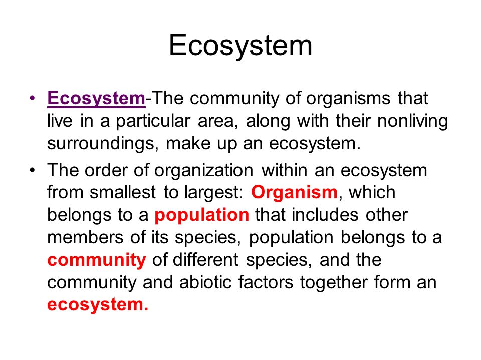 Ecosystem Ecosystem-The community of organisms that live in a particular area, along with their nonliving surroundings, make up an ecosystem.