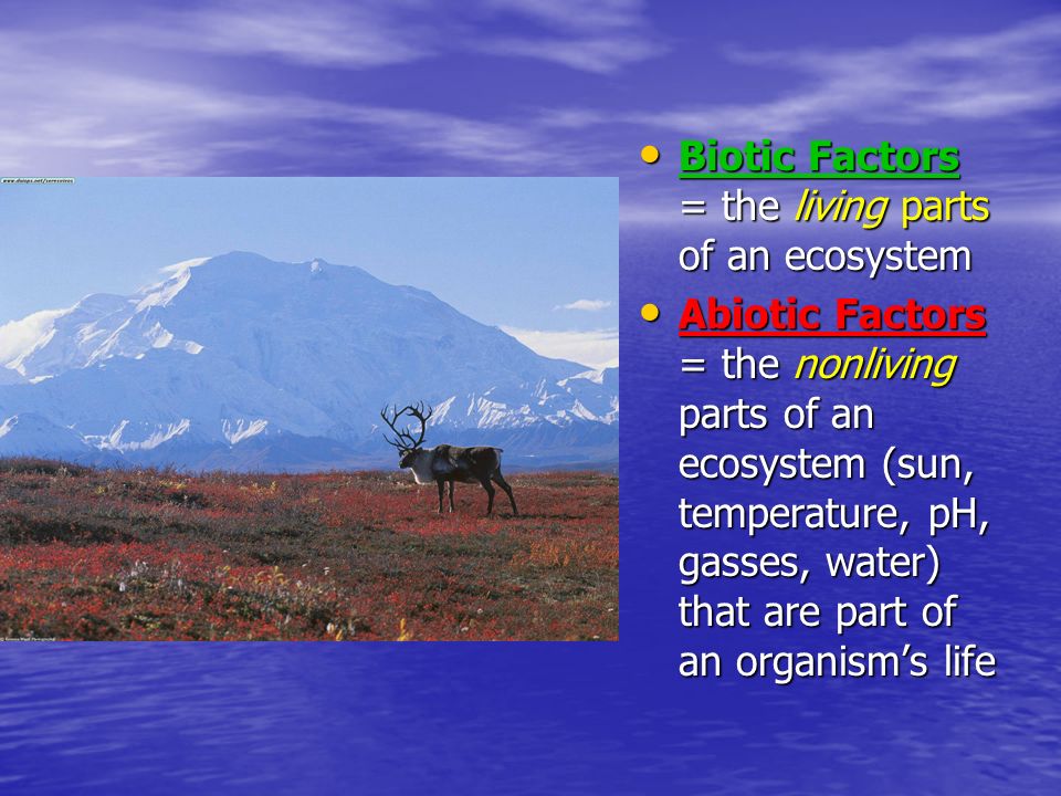 Biotic Factors = the living parts of an ecosystem Biotic Factors = the living parts of an ecosystem Abiotic Factors = the nonliving parts of an ecosystem (sun, temperature, pH, gasses, water) that are part of an organism’s life Abiotic Factors = the nonliving parts of an ecosystem (sun, temperature, pH, gasses, water) that are part of an organism’s life