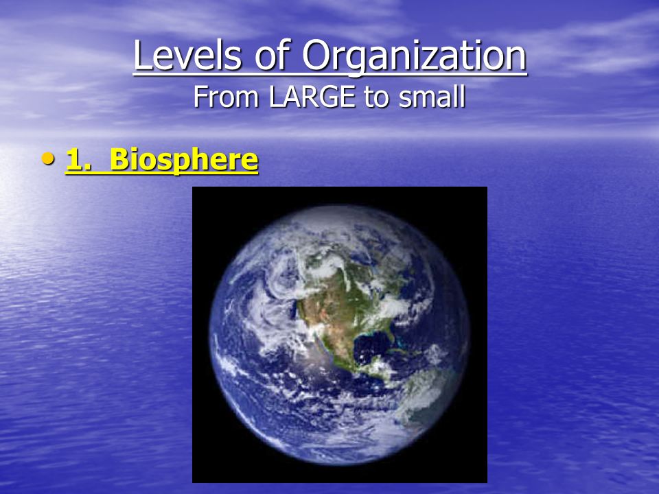 Levels of Organization From LARGE to small 1. Biosphere 1. Biosphere