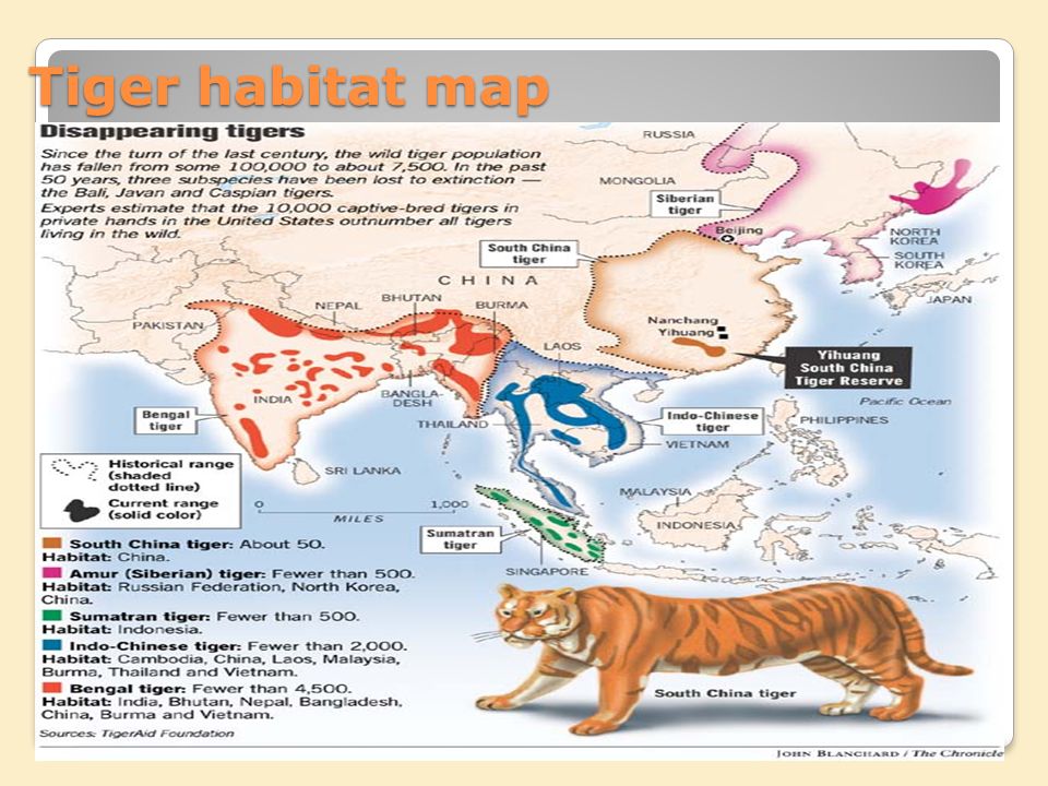 Habitat-Range – The Bengal Tiger